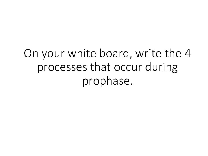 On your white board, write the 4 processes that occur during prophase. 