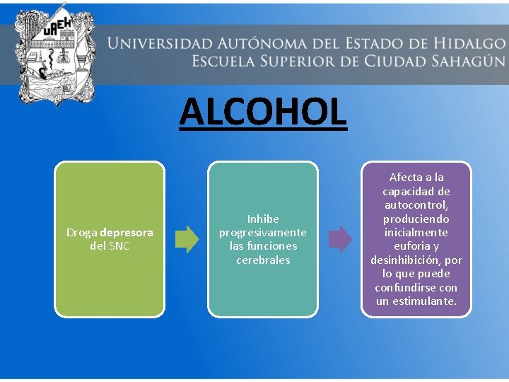 ALCOHOL Droga depresora del SNC Inhibe progresivamente las funciones cerebrales Afecta a la capacidad