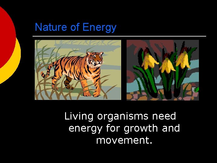 Nature of Energy Living organisms need energy for growth and movement. 