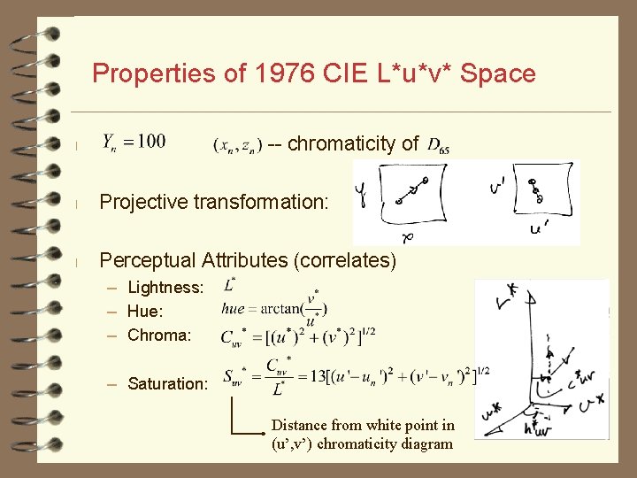 Properties of 1976 CIE L*u*v* Space -- chromaticity of l l Projective transformation: l