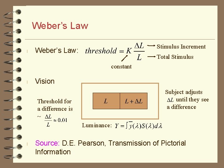 Weber’s Law l Stimulus Increment Weber’s Law: Total Stimulus constant l Vision Subject adjusts