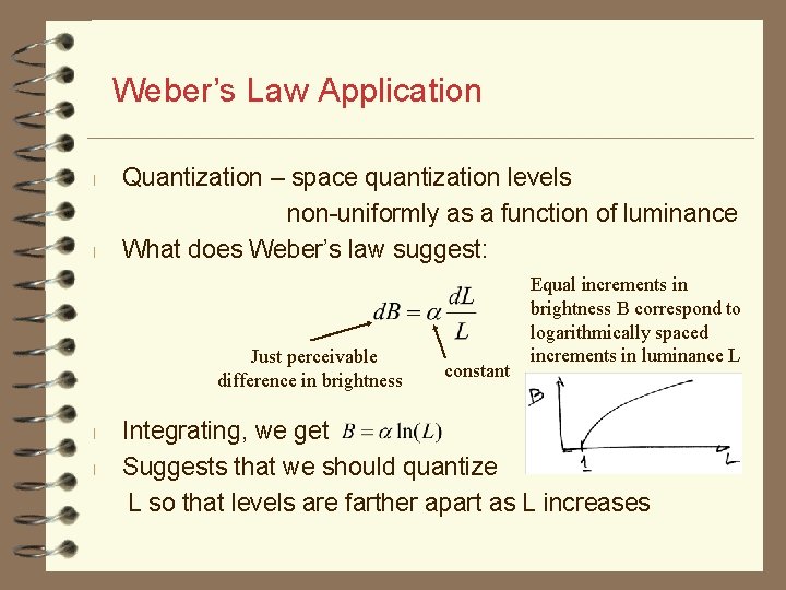 Weber’s Law Application l l Quantization – space quantization levels non-uniformly as a function