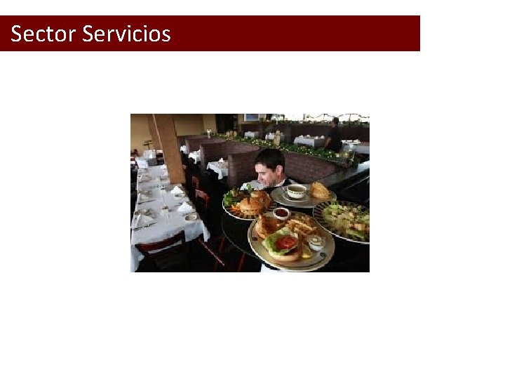  Sector Servicios 