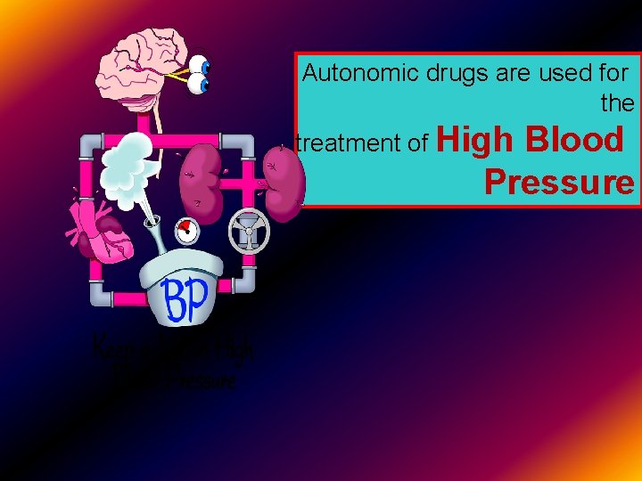 Autonomic drugs are used for the treatment of High Blood Pressure 