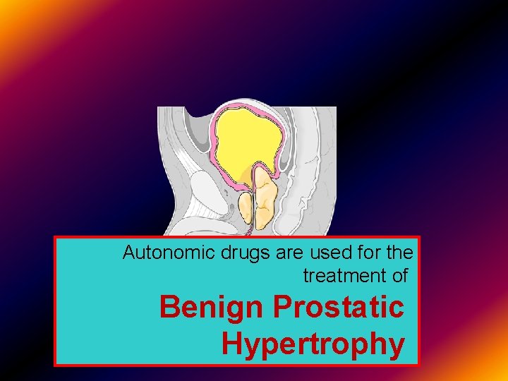 Autonomic drugs are used for the treatment of Benign Prostatic Hypertrophy 