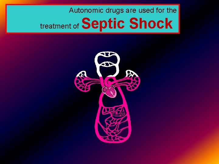 Autonomic drugs are used for the treatment of Septic Shock 