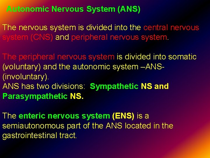 Autonomic Nervous System (ANS) The nervous system is divided into the central nervous system