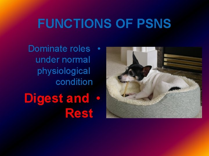 FUNCTIONS OF PSNS Dominate roles • under normal physiological condition Digest and • Rest