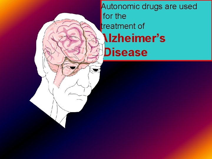 Autonomic drugs are used for the treatment of Alzheimer’s Disease 