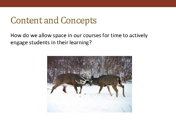 Content and Concepts How do we allow space in our courses for time to