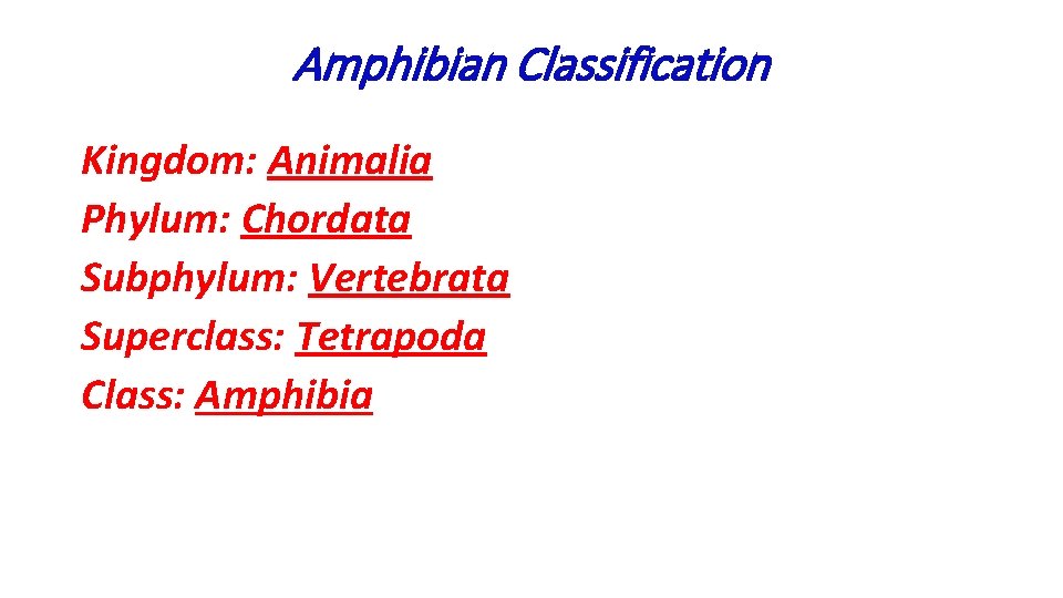 Amphibian Classification Kingdom: Animalia Phylum: Chordata Subphylum: Vertebrata Superclass: Tetrapoda Class: Amphibia 