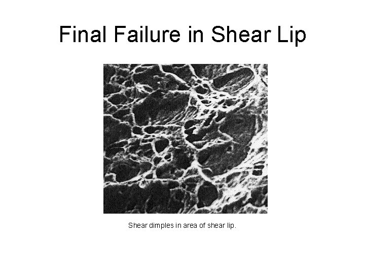 Final Failure in Shear Lip Shear dimples in area of shear lip. 