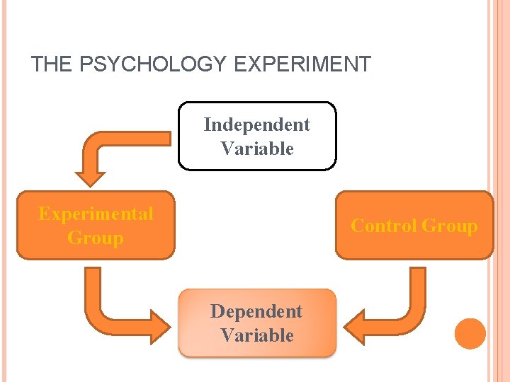 THE PSYCHOLOGY EXPERIMENT Independent Variable Experimental Group Control Group Dependent Variable 