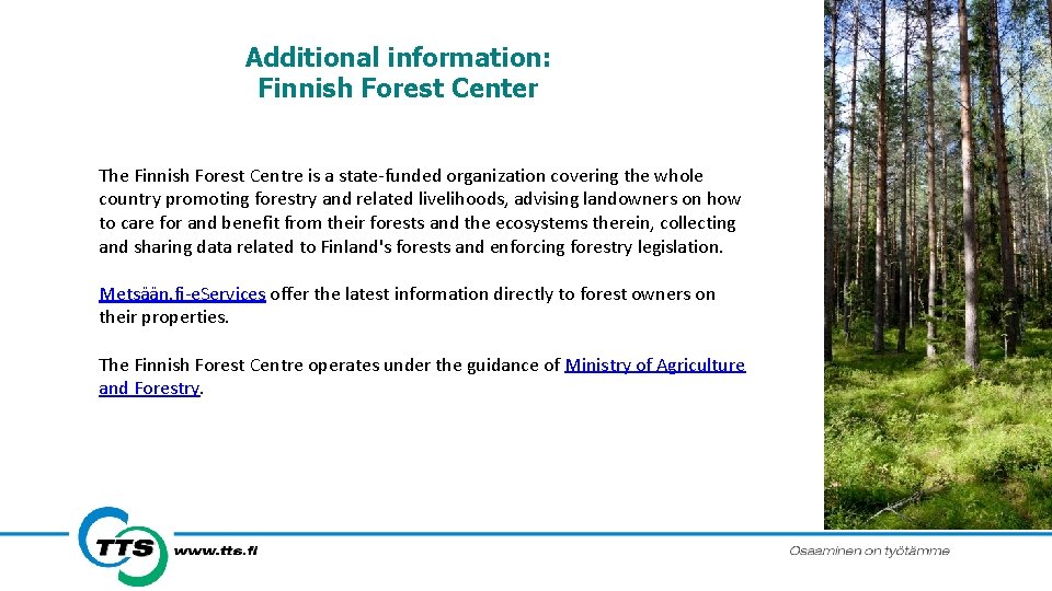 Additional information: Finnish Forest Center The Finnish Forest Centre is a state-funded organization covering