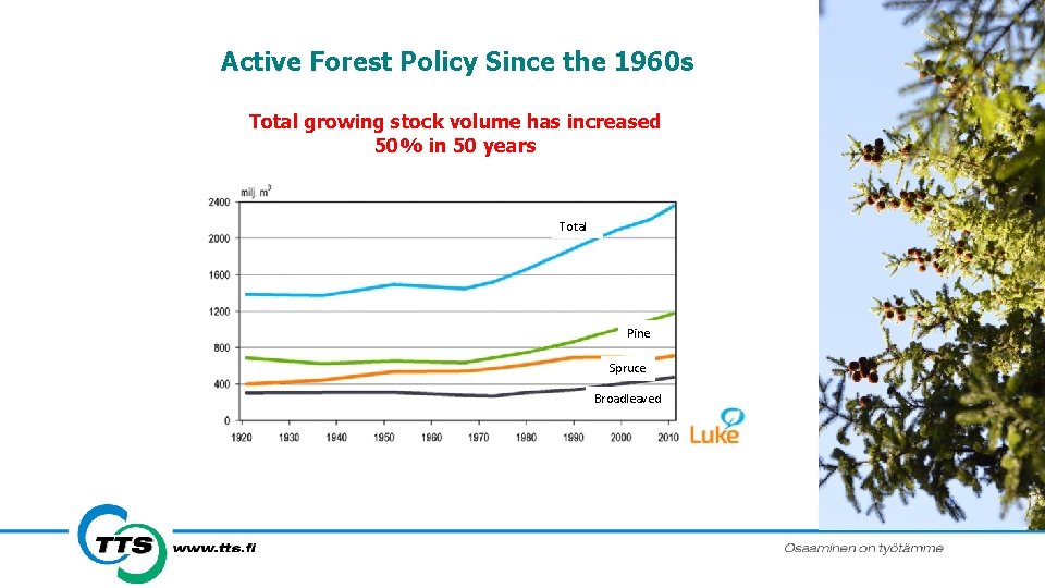Active Forest Policy Since the 1960 s Total growing stock volume has increased 50%