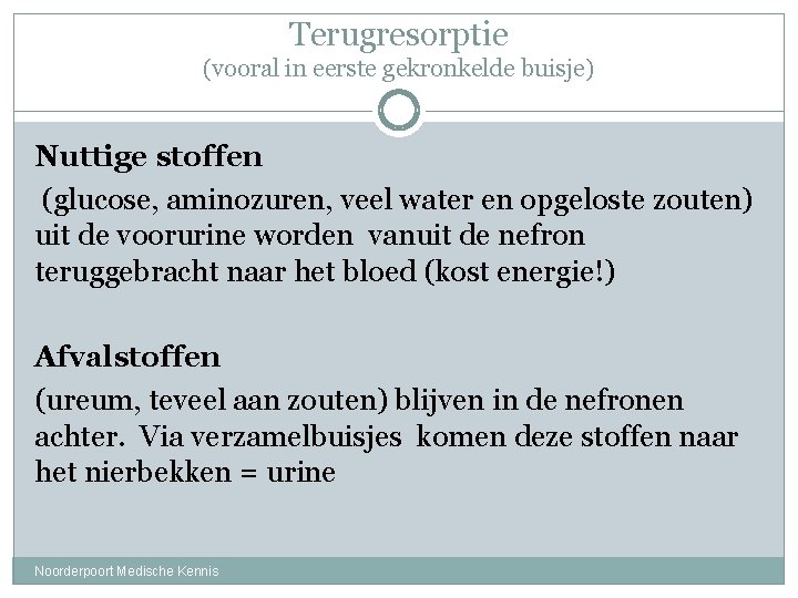 Terugresorptie (vooral in eerste gekronkelde buisje) Nuttige stoffen (glucose, aminozuren, veel water en opgeloste