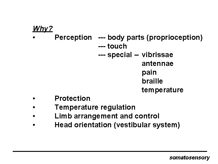 Why? • Perception --- body parts (proprioception) --- touch --- special -- vibrissae antennae