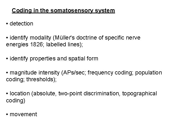Coding in the somatosensory system • detection • identify modality (Müller's doctrine of specific