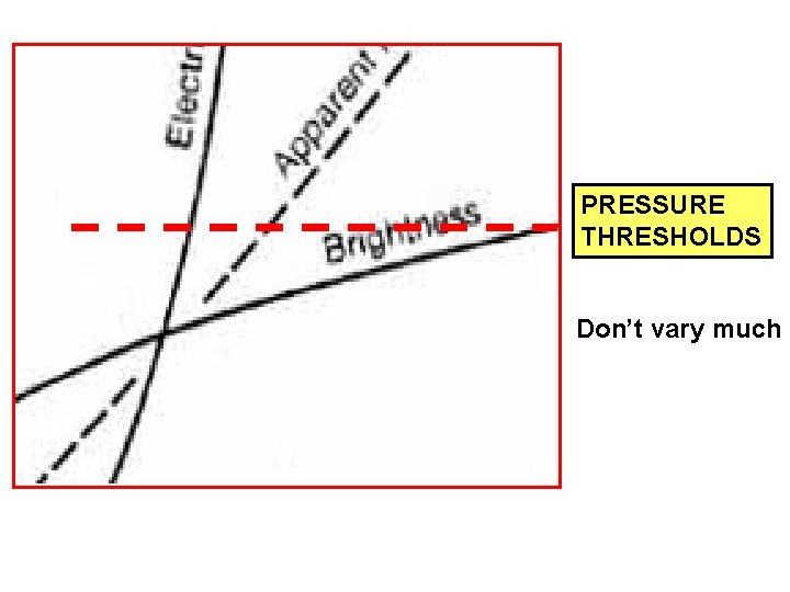 PRESSURE THRESHOLDS Don’t vary much 