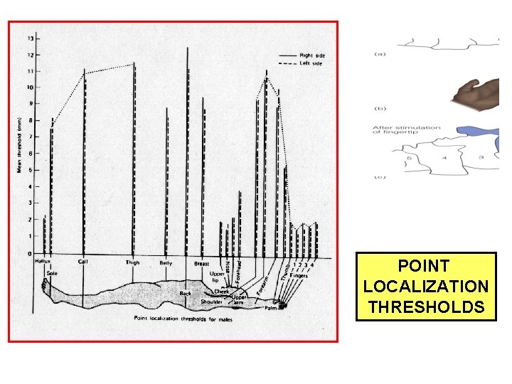 POINT LOCALIZATION THRESHOLDS 