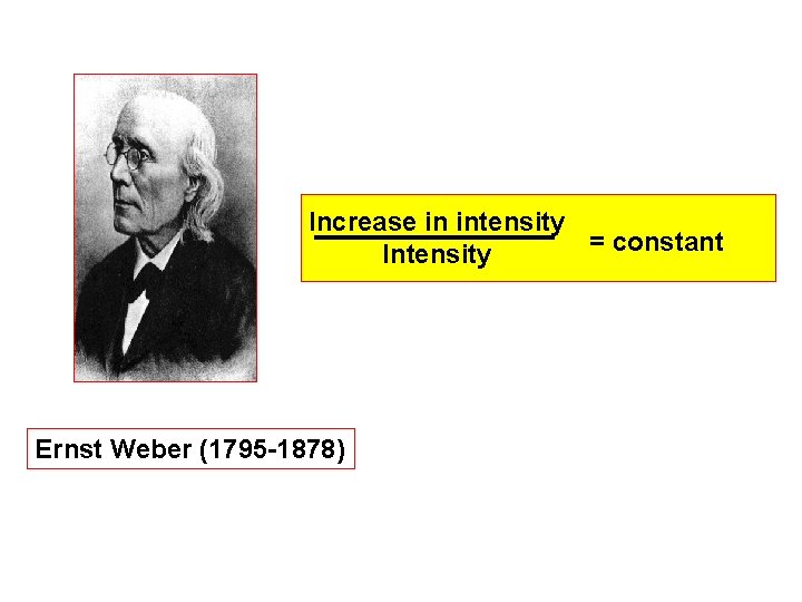 Increase in intensity = constant Intensity Ernst Weber (1795 -1878) 