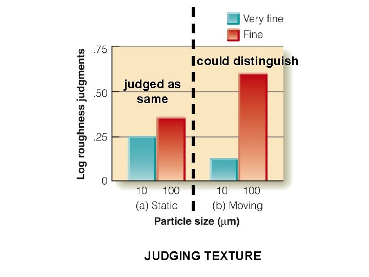could distinguish judged as same JUDGING TEXTURE 