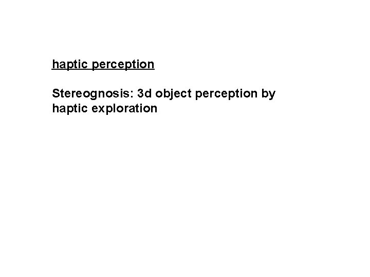 haptic perception Stereognosis: 3 d object perception by haptic exploration 
