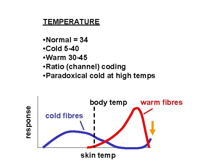 TEMPERATURE response • Normal = 34 • Cold 5 -40 • Warm 30 -45