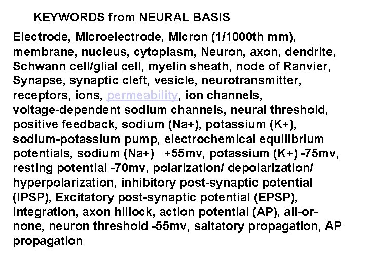 KEYWORDS from NEURAL BASIS Electrode, Microelectrode, Micron (1/1000 th mm), membrane, nucleus, cytoplasm, Neuron,