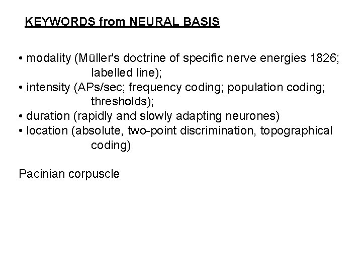 KEYWORDS from NEURAL BASIS • modality (Müller's doctrine of specific nerve energies 1826; labelled