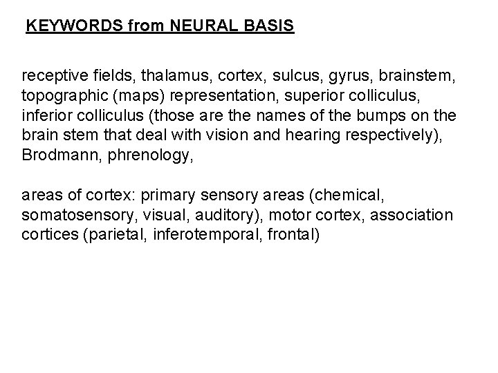 KEYWORDS from NEURAL BASIS receptive fields, thalamus, cortex, sulcus, gyrus, brainstem, topographic (maps) representation,
