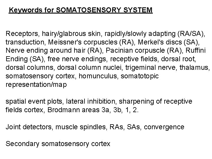 Keywords for SOMATOSENSORY SYSTEM Receptors, hairy/glabrous skin, rapidly/slowly adapting (RA/SA), transduction, Meissner's corpuscles (RA),