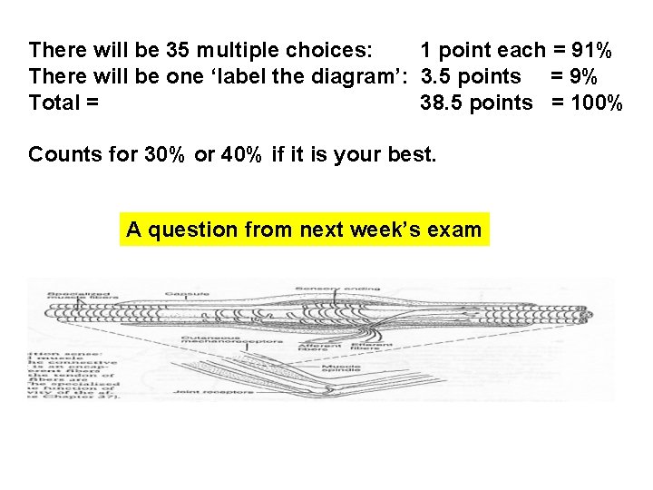 There will be 35 multiple choices: 1 point each = 91% There will be