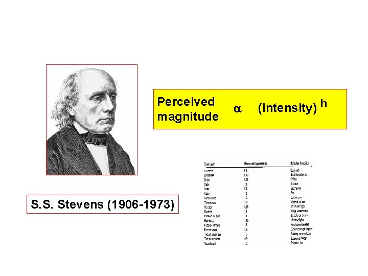 Perceived magnitude S. S. Stevens (1906 -1973) (intensity) h 