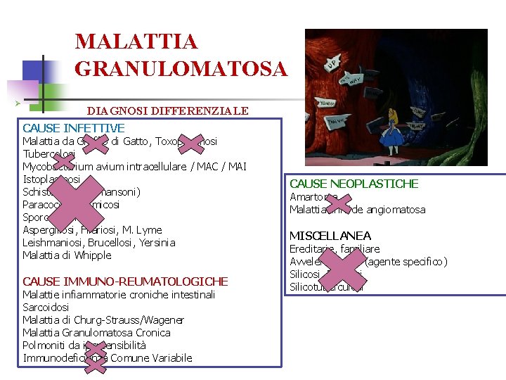 MALATTIA GRANULOMATOSA Ø DIAGNOSI DIFFERENZIALE CAUSE INFETTIVE Malattia da Graffio di Gatto, Toxoplasmosi Tubercolosi