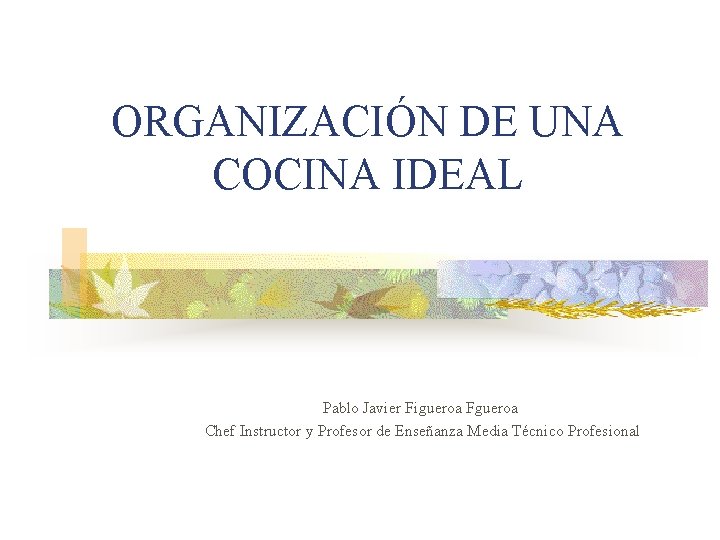 ORGANIZACIÓN DE UNA COCINA IDEAL Pablo Javier Figueroa Fgueroa Chef Instructor y Profesor de