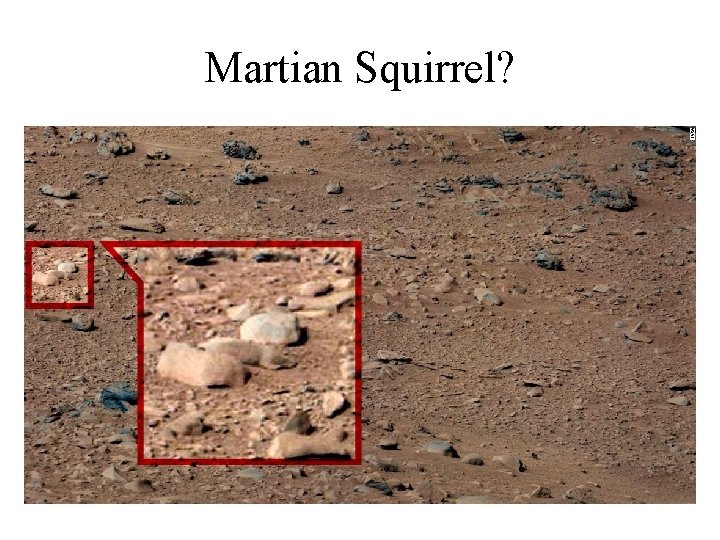 Martian Squirrel? 