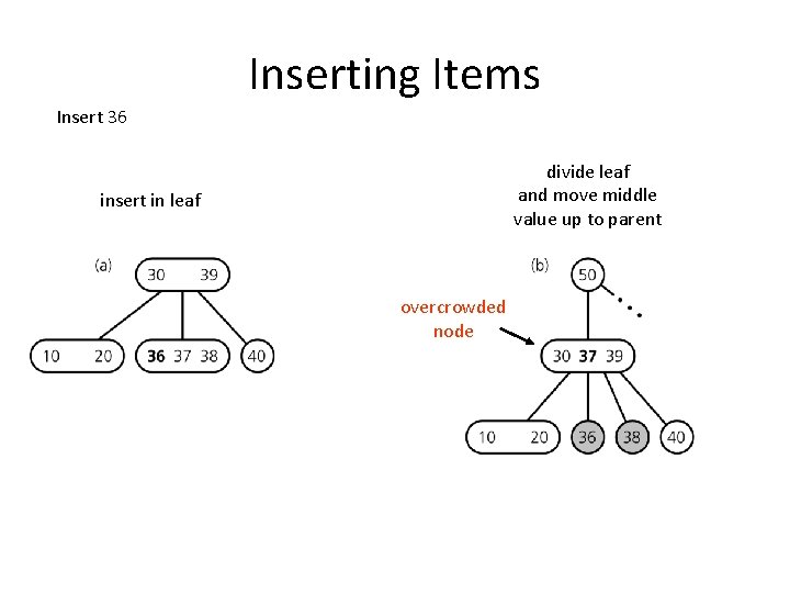Inserting Items Insert 36 divide leaf and move middle value up to parent insert