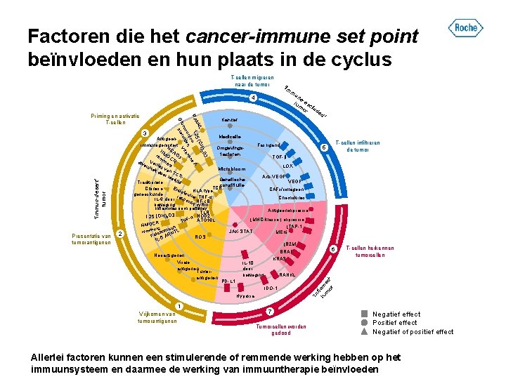 Factoren die het cancer-immune set point beïnvloeden en hun plaats in de cyclus T-cellen