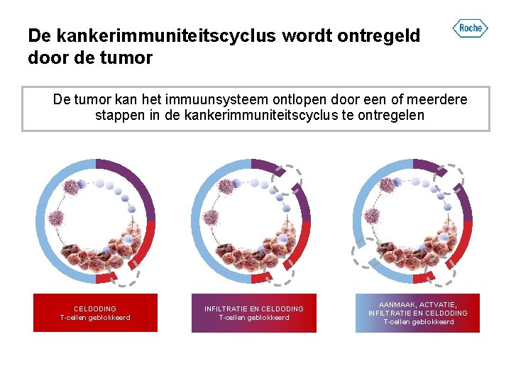 De kankerimmuniteitscyclus wordt ontregeld door de tumor De tumor kan het immuunsysteem ontlopen door
