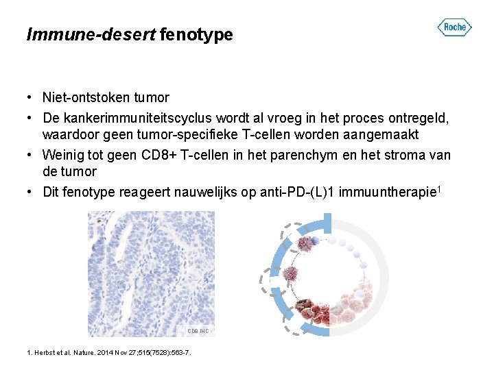 Immune-desert fenotype • Niet-ontstoken tumor • De kankerimmuniteitscyclus wordt al vroeg in het proces