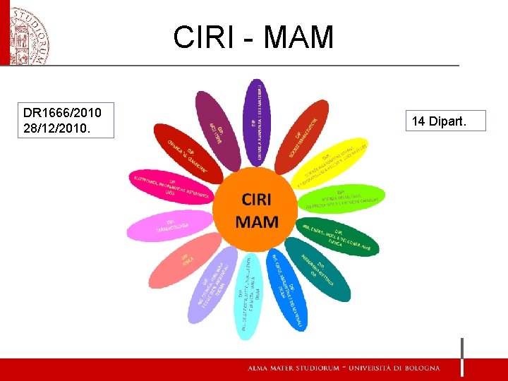 CIRI - MAM DR 1666/2010 28/12/2010. 14 Dipart. 