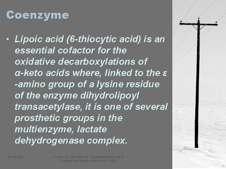 Coenzyme • Lipoic acid (6 -thiocytic acid) is an essential cofactor for the oxidative