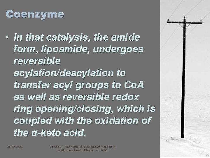 Coenzyme • In that catalysis, the amide form, lipoamide, undergoes reversible acylation/deacylation to transfer