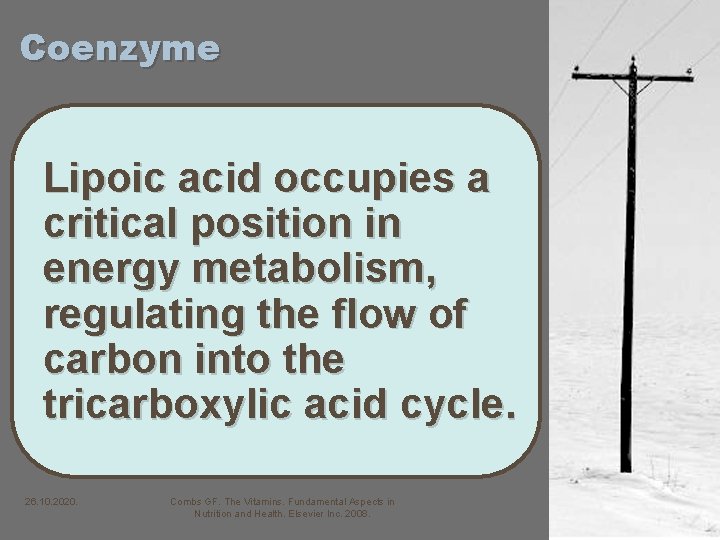 Coenzyme Lipoic acid occupies a critical position in energy metabolism, regulating the flow of