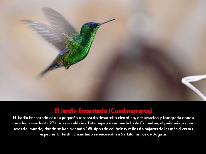 El Jardín Encantado (Cundinamarca) El Jardín Encantado es una pequeña reserva de desarrollo científico, El Jardín Encantado (Cundinamarca) El Jardín Encantado es una pequeña reserva de desarrollo científico,