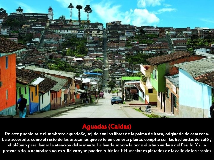 Aguadas (Caldas) De este pueblo sale el sombrero aguadeño, tejido con las fibras de Aguadas (Caldas) De este pueblo sale el sombrero aguadeño, tejido con las fibras de