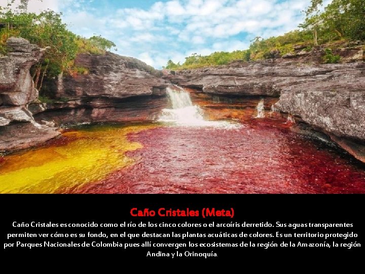 Caño Cristales (Meta) Caño Cristales es conocido como el río de los cinco colores Caño Cristales (Meta) Caño Cristales es conocido como el río de los cinco colores