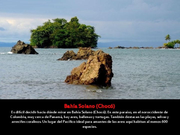 Bahía Solano (Chocó) Es difícil decidir hacia dónde mirar en Bahía Solano (Chocó). En Bahía Solano (Chocó) Es difícil decidir hacia dónde mirar en Bahía Solano (Chocó). En