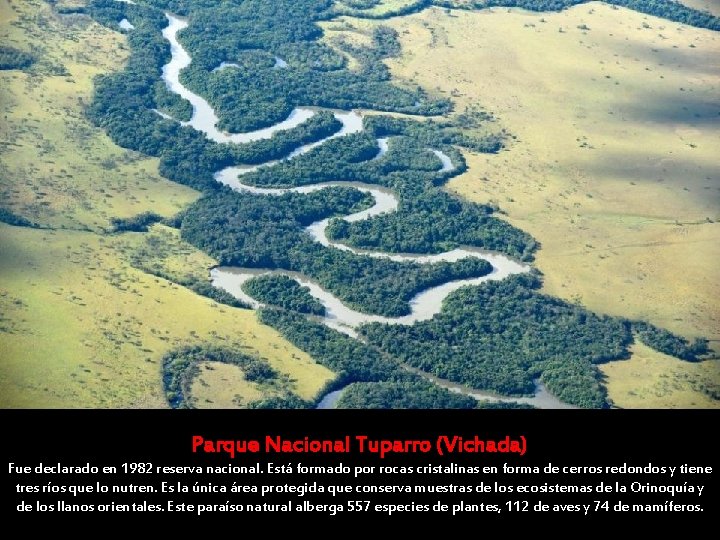 Parque Nacional Tuparro (Vichada) Fue declarado en 1982 reserva nacional. Está formado por rocas Parque Nacional Tuparro (Vichada) Fue declarado en 1982 reserva nacional. Está formado por rocas